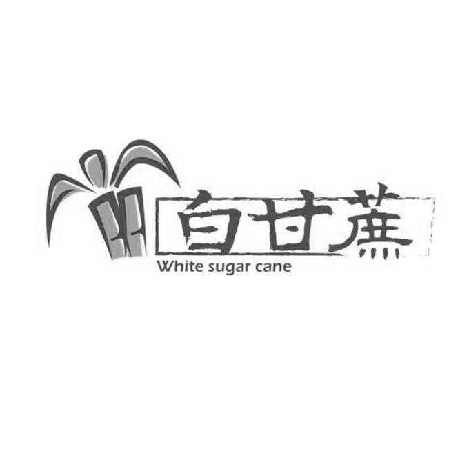商标名称白甘蔗 WHITE SUGAR CANE商标注册号 13709320、商标申请人杨文政的商标详情 - 标库网商标查询