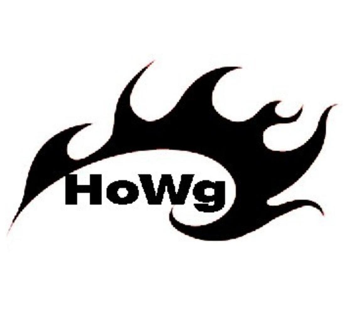商标名称HOWG商标注册号 12181104、商标申请人嵊州市火王电器有限公司的商标详情 - 标库网商标查询
