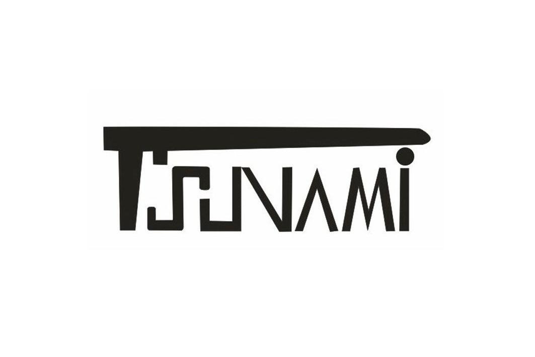 商标名称TSJNAMI商标注册号 11777163、商标申请人广东剑光电子科技有限公司的商标详情 - 标库网商标查询
