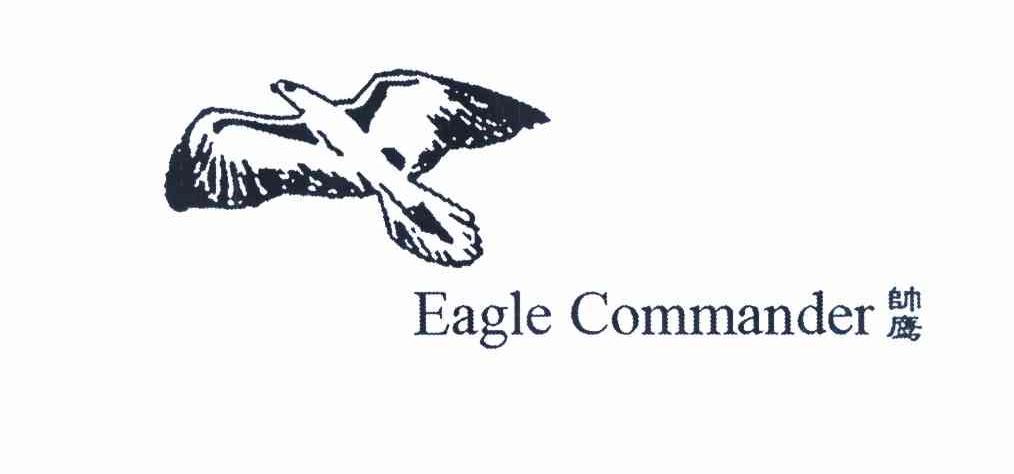 商标名称帅鹰 EAGLE COMMANDER商标注册号 10124844、商标申请人李小刚的商标详情 - 标库网商标查询