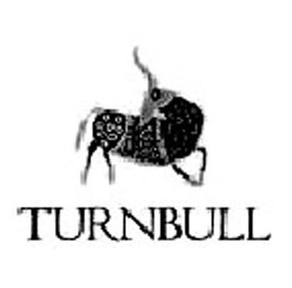 商标名称TURNBULL商标注册号 13839452、商标申请人上海永颐生物科技有限公司的商标详情 - 标库网商标查询