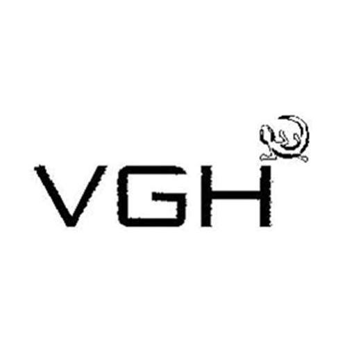 商标名称VGH商标注册号 10556571、商标申请人VGH维多利亚花园冶金用品有限公司的商标详情 - 标库网商标查询