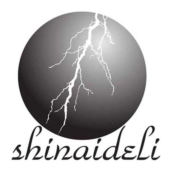 商标名称SHINAIDELI商标注册号 10646213、商标申请人深圳市施耐德力电气有限公司的商标详情 - 标库网商标查询