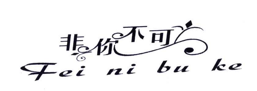 商标文字非你不可商标注册号 5363400,商标申请人义乌市辉运饰品有限