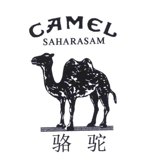 商标名称骆驼;CAMEL SAHARASAM商标注册号 5038256、商标申请人广东骆驼服饰有限公司的商标详情 - 标库网商标查询