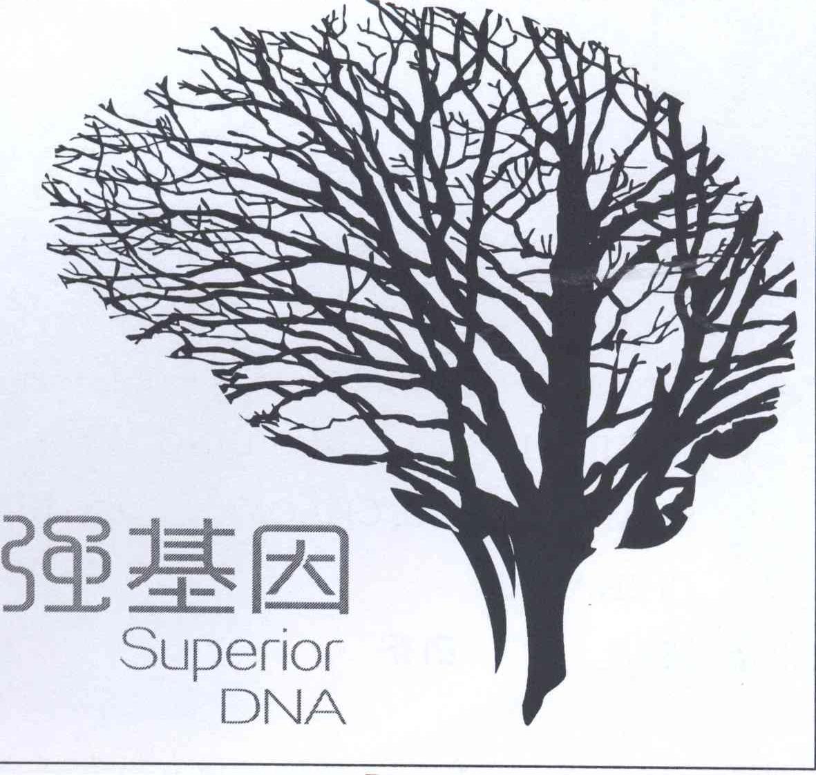 商标名称强基因 SUPERIOR DNA商标注册号 12729577、商标申请人吴霁虹 护照号:的商标详情 - 标库网商标查询