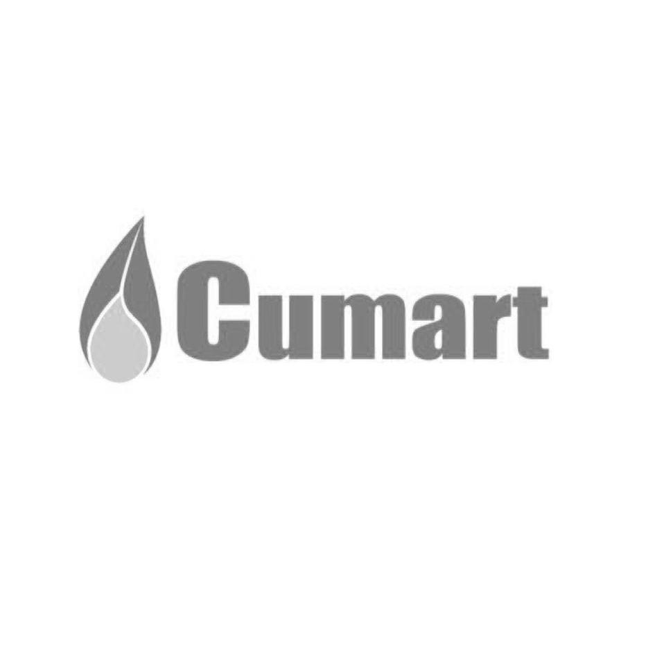 商标名称CUMART商标注册号 10965466、商标申请人北京中德泰达国际贸易有限公司的商标详情 - 标库网商标查询