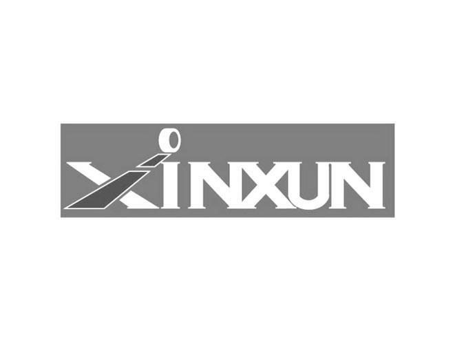 商标名称XINXUN商标注册号 9393005、商标申请人汕头市澄海区鑫讯航模玩具有限公司的商标详情 - 标库网商标查询