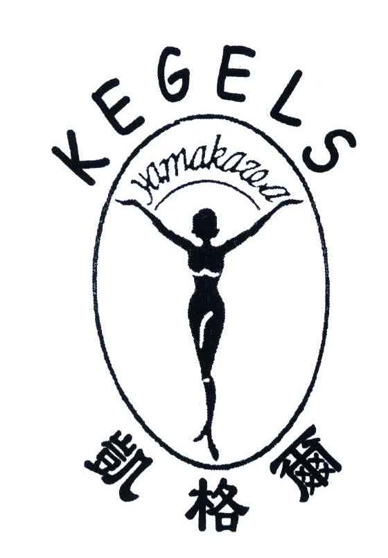 商标名称凯格尔;KEGELS ;YAMAKAZEA商标注册号 3704246、商标申请人杉川企业有限公司的商标详情 - 标库网商标查询