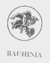 商标名称BAUHINIA商标注册号 1312843、商标申请人艾尔顿（国际）烟草有限公司的商标详情 - 标库网商标查询