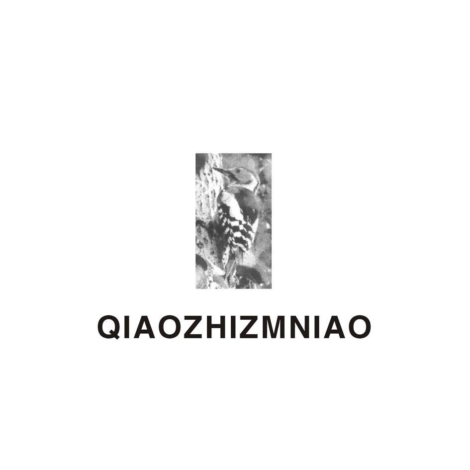 商标名称QIAOZHIZMNIAO商标注册号 13657690、商标申请人法国啄木鸟国际贸易有限公司的商标详情 - 标库网商标查询