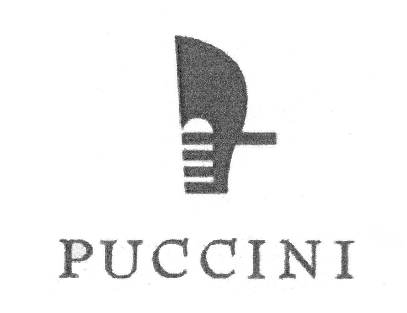 商标名称PUCCINI商标注册号 9346938、商标申请人富源（合浦）皮具有限公司的商标详情 - 标库网商标查询