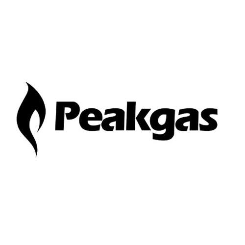 商标名称PEAKGAS商标注册号 10277994、商标申请人宁波山丰阀门有限公司的商标详情 - 标库网商标查询
