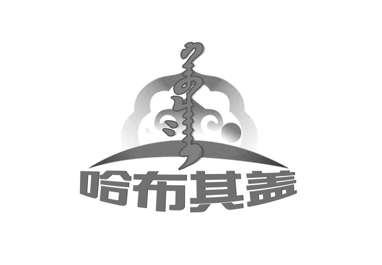 商标文字哈布其盖商标注册号 22600315,商标申请人西乌珠穆沁旗玖强车