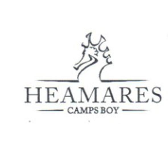 商标名称HEAMARES CAMPS BOY商标注册号 12579952、商标申请人骆驼集团有限公司的商标详情 - 标库网商标查询