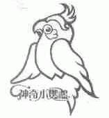 商标名称神奇小鹦鹉商标注册号 1453750、商标申请人上海好记星数码科技有限公司的商标详情 - 标库网商标查询