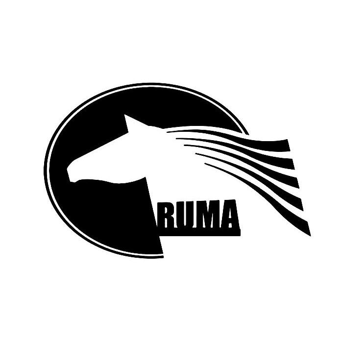 商标名称RUMA商标注册号 12400132、商标申请人长沙瑞玛流体设备科技有限公司的商标详情 - 标库网商标查询