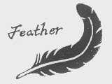 商标名称FEATHER商标注册号 1081673、商标申请人湖北华羽服饰有限责任公司的商标详情 - 标库网商标查询