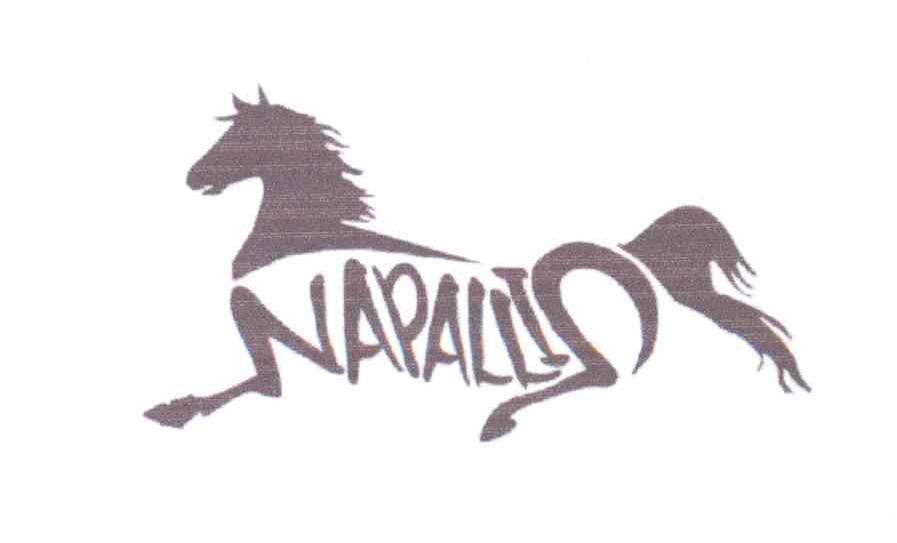 商标名称NAPALLI商标注册号 14114605、商标申请人何瑞光的商标详情 - 标库网商标查询