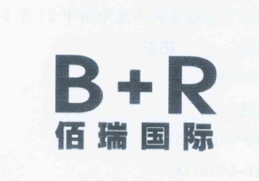 商标名称佰瑞国际 B+R商标注册号 12422059、商标申请人北京智能电气有限责任公司的商标详情 - 标库网商标查询