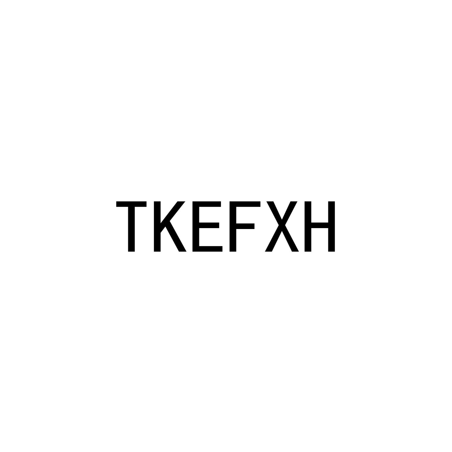 商标文字tkefxh商标注册号 42874373,商标申请人东莞市稳下电子商务