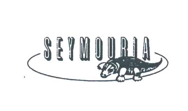 商标名称SEYMOURIA商标注册号 3455647、商标申请人嘉绩百货企业股份有限公司的商标详情 - 标库网商标查询