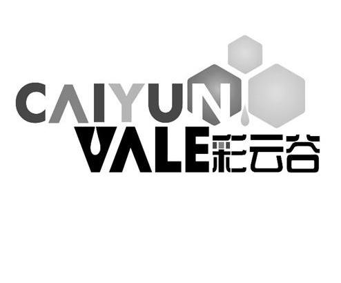 商标名称彩云谷 CAIYUN VALE商标注册号 10184541、商标申请人刘波的商标详情 - 标库网商标查询