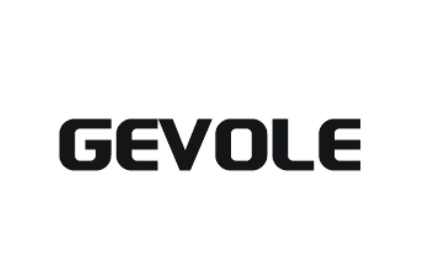 商标名称GEVOLE商标注册号 18254071、商标申请人青岛格力电器有限公司的商标详情 - 标库网商标查询