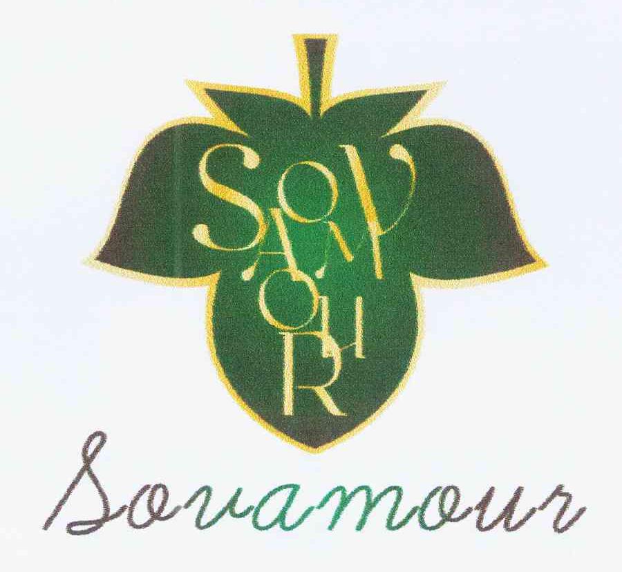 商标名称SOVAMOUR商标注册号 10811156、商标申请人张晓瑞的商标详情 - 标库网商标查询