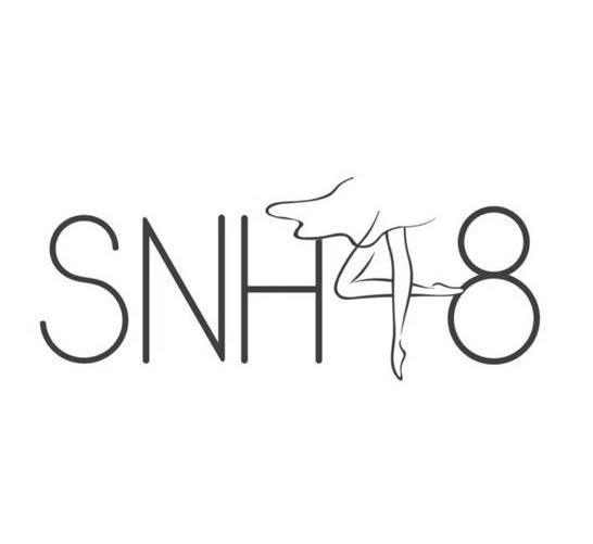 商标名称SNH 48商标注册号 12717415、商标申请人诸暨市乐钒针织有限公司的商标详情 - 标库网商标查询