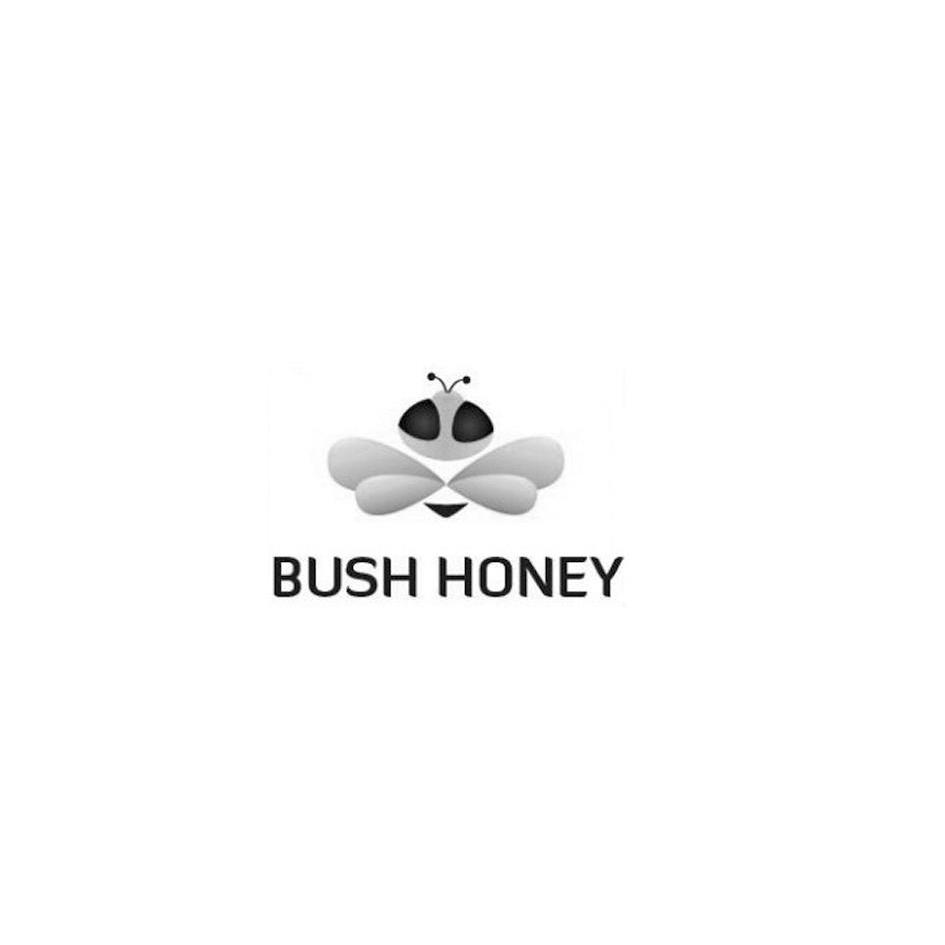 商标名称BUSH HONEY商标注册号 13123499、商标申请人深圳市前海鸿发源生物科技有限公司的商标详情 - 标库网商标查询