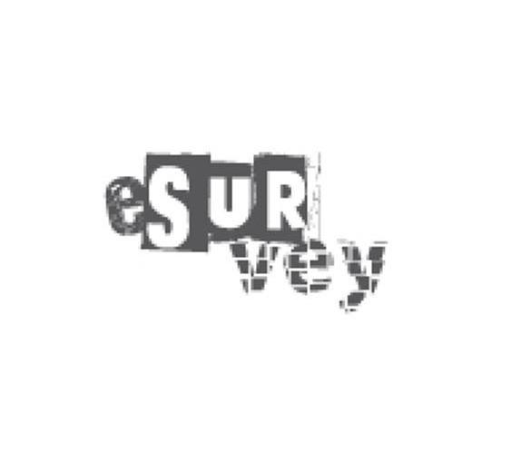 商标名称ESUR VEY商标注册号 10610979、商标申请人舜易科技发展（上海）有限公司的商标详情 - 标库网商标查询
