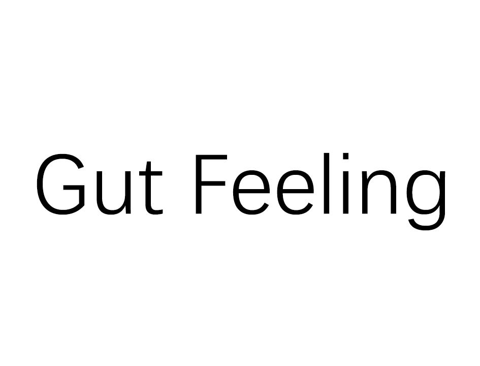 商标文字gut feeling商标注册号 55046548,商标申请人上海究本科技