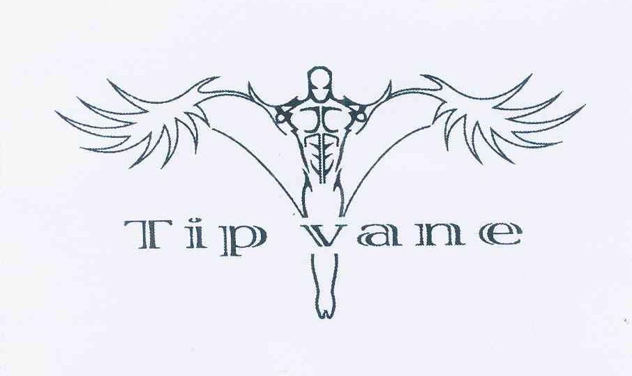 商标名称TIP VANE商标注册号 12039963、商标申请人陆军的商标详情 - 标库网商标查询