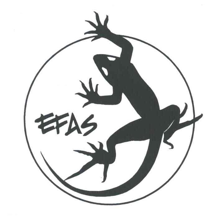 商标名称EFAS商标注册号 6872872、商标申请人深圳市摩力狮户外用品有限公司的商标详情 - 标库网商标查询