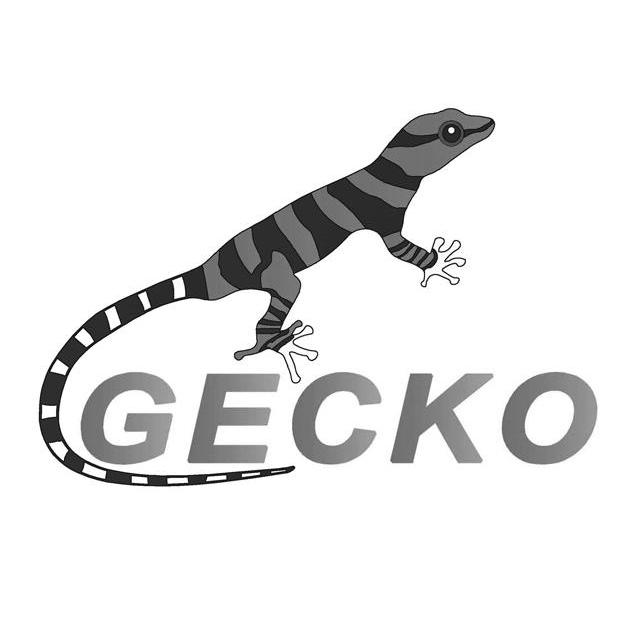 商标名称GECKO商标注册号 10616504、商标申请人深圳市杰高乐器有限公司的商标详情 - 标库网商标查询