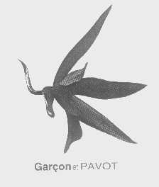 商标名称GARCON ET PAVOT商标注册号 1335470、商标申请人克莱佛有限公司的商标详情 - 标库网商标查询
