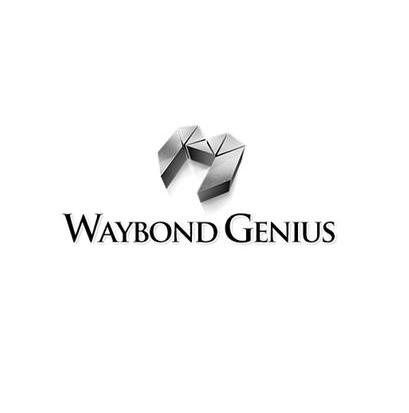 商标名称WAYBOND GENIUS商标注册号 12812437、商标申请人广州市韦邦杰世文化传播有限公司的商标详情 - 标库网商标查询