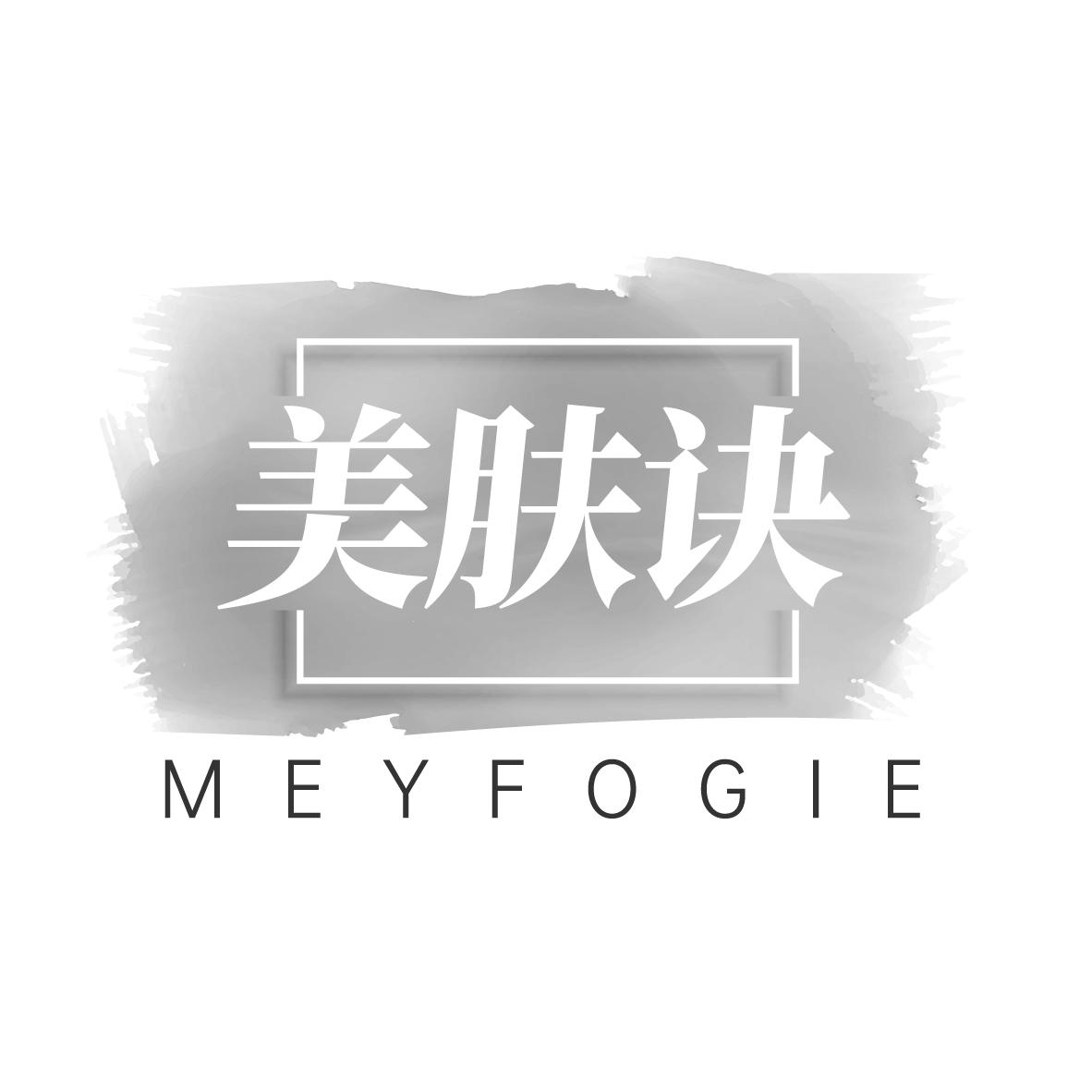  MEYFOGIE