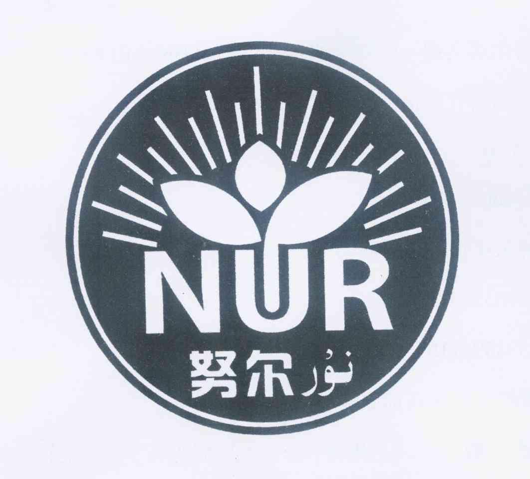 商标名称努尔 NUR商标注册号 10534456、商标申请人努尔买买提·阿布力米提的商标详情 - 标库网商标查询