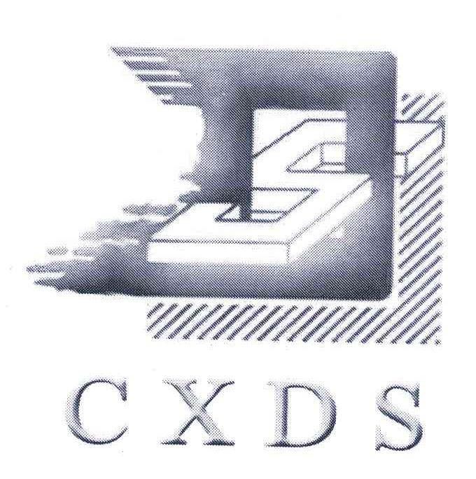 商标名称CXDS;DS商标注册号 6619021、商标申请人河北新东升实业集团有限公司的商标详情 - 标库网商标查询