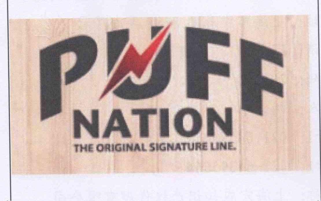 商标名称PUFF NATION THE ORIGINAL SIGNATURE LINE N商标注册号 13133618、商标申请人李俊煌M的商标详情 - 标库网商标查询