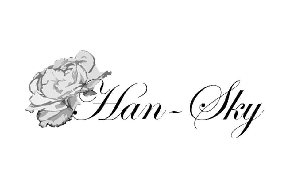 商标名称HAN SKY商标注册号 11066553、商标申请人武汉源瑞泰商贸有限公司的商标详情 - 标库网商标查询