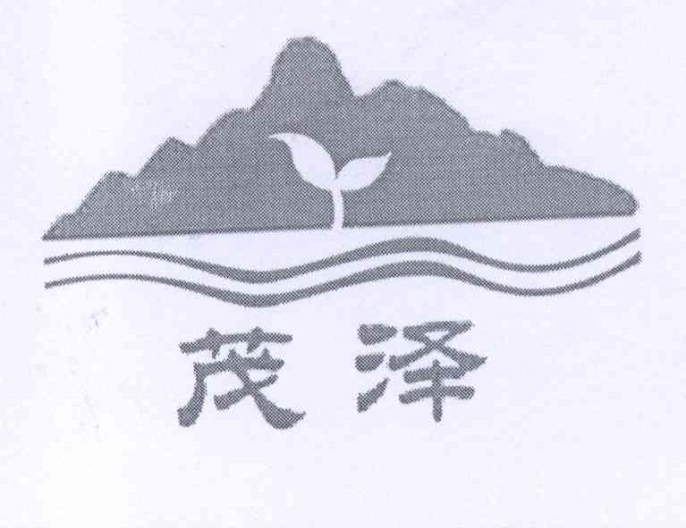 商标文字茂泽商标注册号14258404商标申请人重庆市茂泽科技有限公司的商标详情标库网商标查询