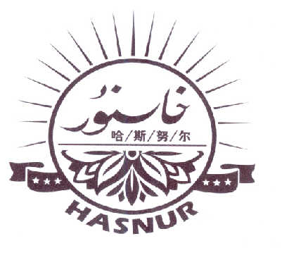 商标名称哈斯努尔  HASNUR商标注册号 14489688、商标申请人努力曼·沙吾提的商标详情 - 标库网商标查询