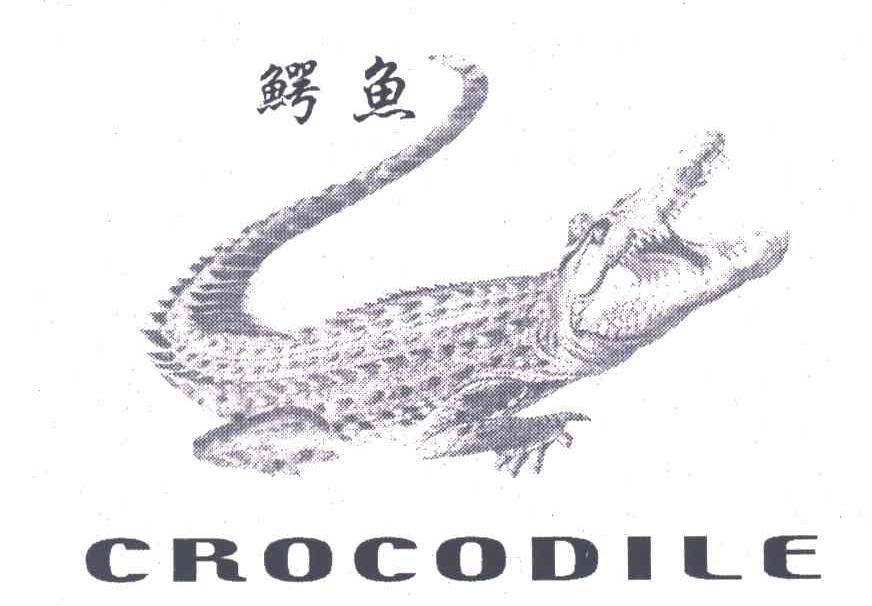 商标名称鳄鱼;CROCODILE商标注册号 3188676、商标申请人河南省东方量具工业有限公司的商标详情 - 标库网商标查询