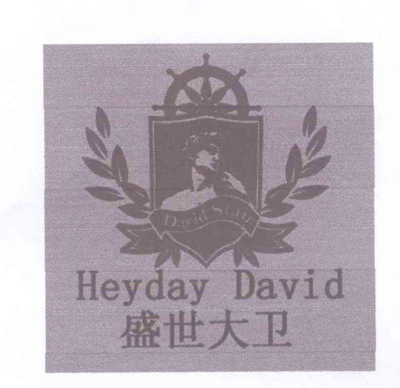 商标名称盛世大卫 DAVID STAIR HEYDAY DAVID商标注册号 14141954、商标申请人高永康的商标详情 - 标库网商标查询