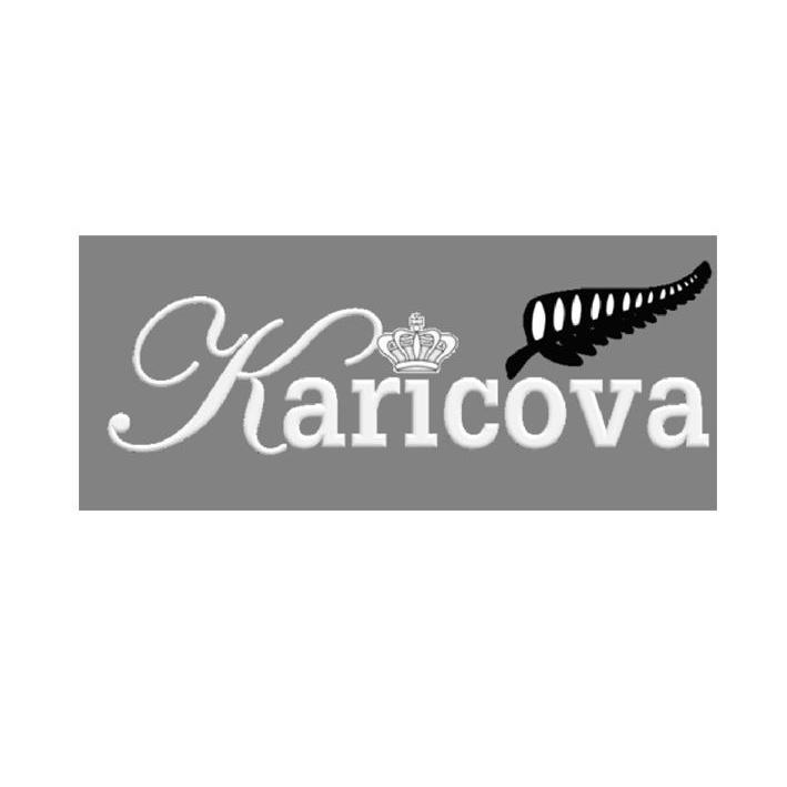 商标名称KARICOVA商标注册号 9796426、商标申请人赤壁市华美网吧的商标详情 - 标库网商标查询