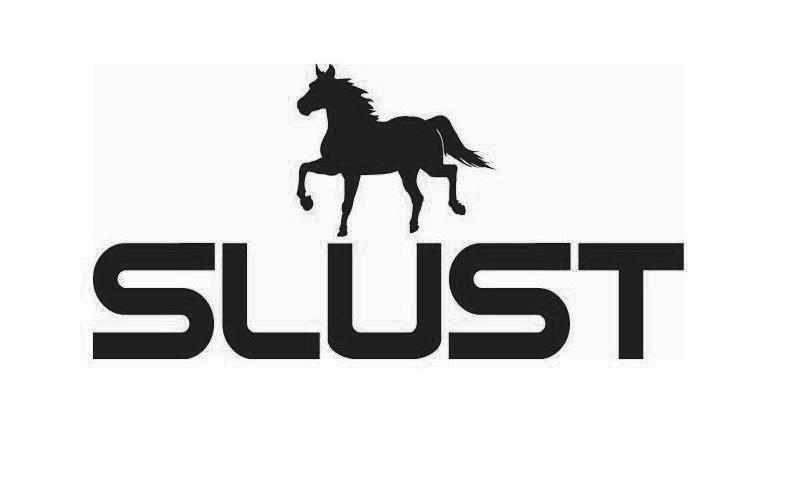 商标名称SLUST商标注册号 10019140、商标申请人斯卢能源设备（北京）有限公司的商标详情 - 标库网商标查询