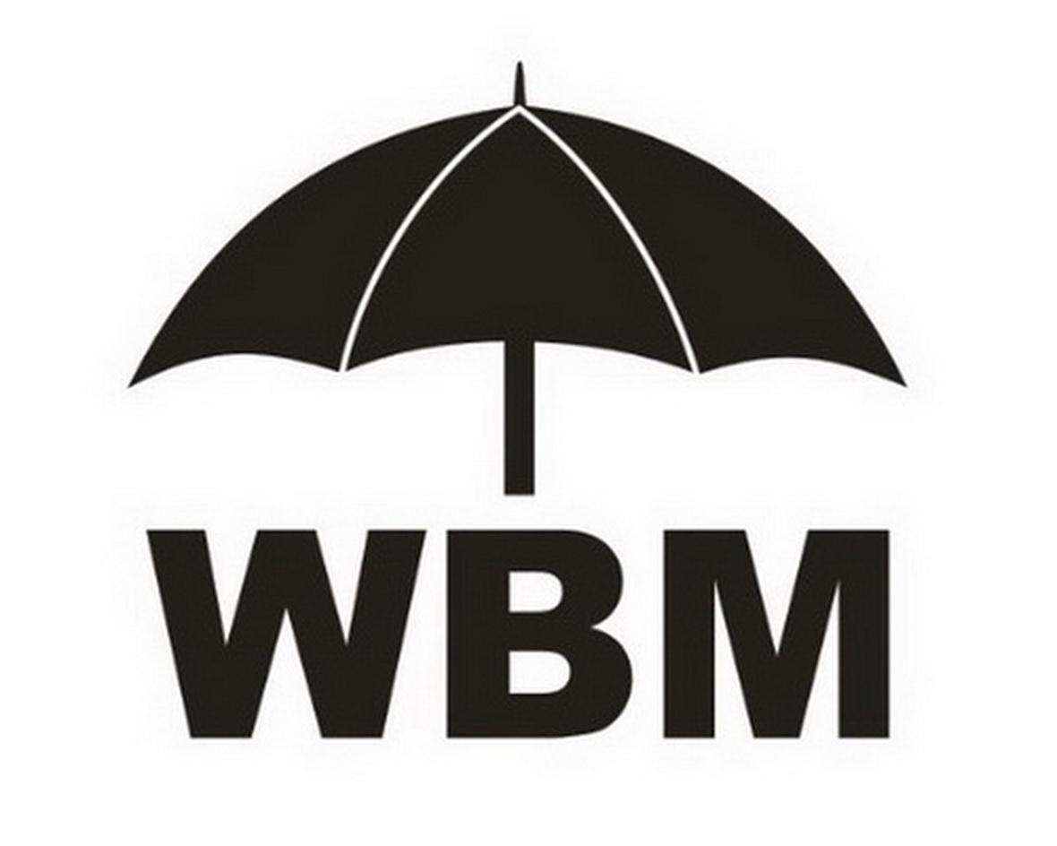 商标名称WBM商标注册号 13841965、商标申请人维必玛电器（汕头）有限公司的商标详情 - 标库网商标查询